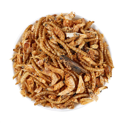 LuckyQworms Dried Mighty Crunch Mix Aquatic Turtle Food 1 lb for Chickens, Wild Birds, Hedgehogs, Reptiles, Lizards, Bearded Dragons, Fish, Turtles High Protein Natural Insect Food Resealable Bag