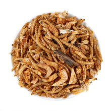 Load image into Gallery viewer, LuckyQworms Dried Mighty Crunch Mix Aquatic Turtle Food 1 lb for Chickens, Wild Birds, Hedgehogs, Reptiles, Lizards, Bearded Dragons, Fish, Turtles High Protein Natural Insect Food Resealable Bag
