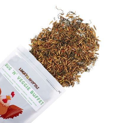 LuckyQworms Bug 'N' Veggie Buffet 1 lb for Chickens, Wild Birds, Hedgehogs, Reptiles, Lizards, Bearded Dragons, Fish, Turtles High Protein Natural Insect Food Resealable Bag