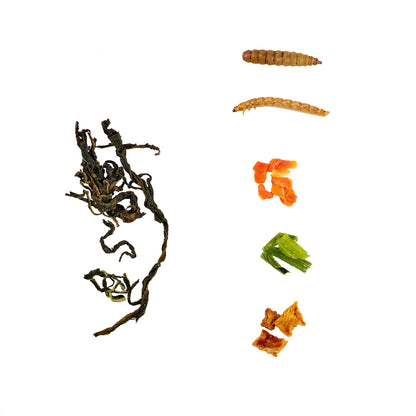 LuckyQworms Bug 'N' Veggie Buffet 1 lb for Chickens, Wild Birds, Hedgehogs, Reptiles, Lizards, Bearded Dragons, Fish, Turtles High Protein Natural Insect Food Resealable Bag
