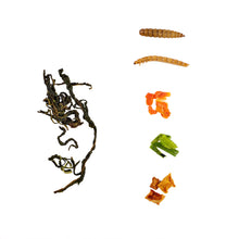 Load image into Gallery viewer, LuckyQworms Dried Worm &amp; Garden Blend 1 lb for Chickens, Wild Birds, Hedgehogs, Reptiles, Lizards, Bearded Dragons, Fish, Turtles High Protein Natural Insect Food Resealable Bag
