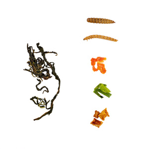 LuckyQworms Dried Worm & Garden Blend 1 lb for Chickens, Wild Birds, Hedgehogs, Reptiles, Lizards, Bearded Dragons, Fish, Turtles High Protein Natural Insect Food Resealable Bag
