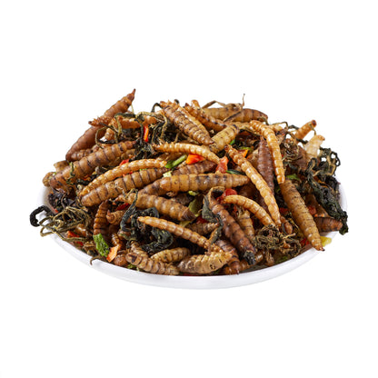 LuckyQworms Bug 'N' Veggie Buffet 1 lb for Chickens, Wild Birds, Hedgehogs, Reptiles, Lizards, Bearded Dragons, Fish, Turtles High Protein Natural Insect Food Resealable Bag