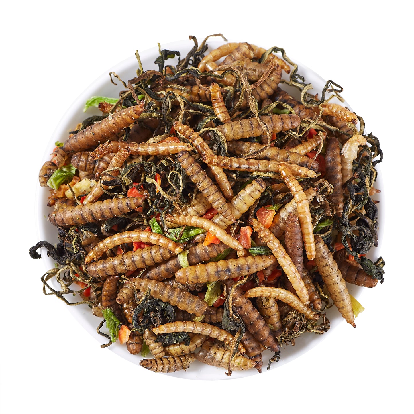 LuckyQworms Bug 'N' Veggie Buffet 1 lb for Chickens, Wild Birds, Hedgehogs, Reptiles, Lizards, Bearded Dragons, Fish, Turtles High Protein Natural Insect Food Resealable Bag