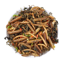 Load image into Gallery viewer, LuckyQworms Dried Worm &amp; Garden Blend 1 lb for Chickens, Wild Birds, Hedgehogs, Reptiles, Lizards, Bearded Dragons, Fish, Turtles High Protein Natural Insect Food Resealable Bag
