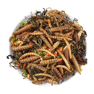 LuckyQworms Dried Worm & Garden Blend 1 lb for Chickens, Wild Birds, Hedgehogs, Reptiles, Lizards, Bearded Dragons, Fish, Turtles High Protein Natural Insect Food Resealable Bag