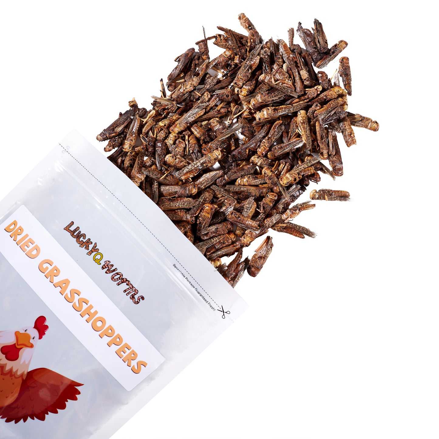LuckyQworms Dried Grasshoppers 1 lb for Chickens, Wild Birds, Hedgehogs, Reptiles, Lizards, Bearded Dragons, Fish, Turtles High Protein Natural Insect Food Resealable Bag