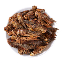 Load image into Gallery viewer, LuckyQworms Dried Grasshoppers 1 lb for Chickens, Wild Birds, Hedgehogs, Reptiles, Lizards, Bearded Dragons, Fish, Turtles High Protein Natural Insect Food Resealable Bag
