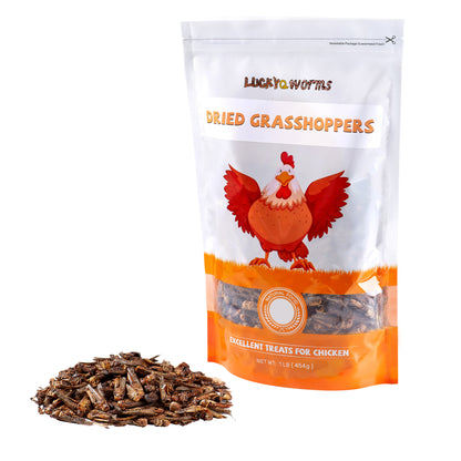 LuckyQworms Dried Grasshoppers 1 lb for Chickens, Wild Birds, Hedgehogs, Reptiles, Lizards, Bearded Dragons, Fish, Turtles High Protein Natural Insect Food Resealable Bag