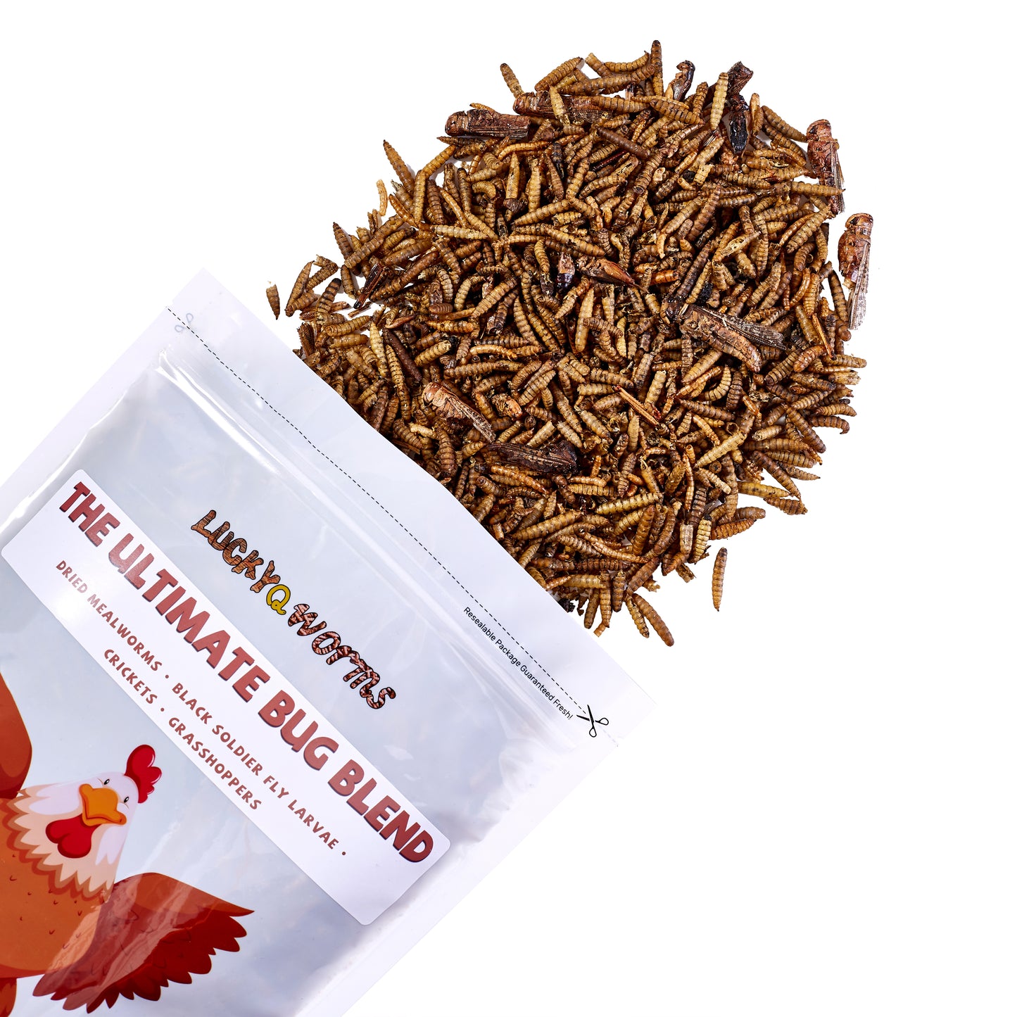 LuckyQworms The Ultimate Bug Blend 1 lb for Chickens, Wild Birds, Hedgehogs, Reptiles, Lizards, Bearded Dragons, Fish, Turtles High Protein Natural Insect Food Resealable Bag