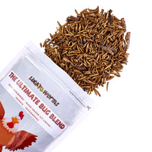 Load image into Gallery viewer, LuckyQworms Dried Insect Trail Mix 1 lb for Chickens, Wild Birds, Hedgehogs, Reptiles, Lizards, Bearded Dragons, Fish, Turtles High Protein Natural Insect Food Resealable Bag
