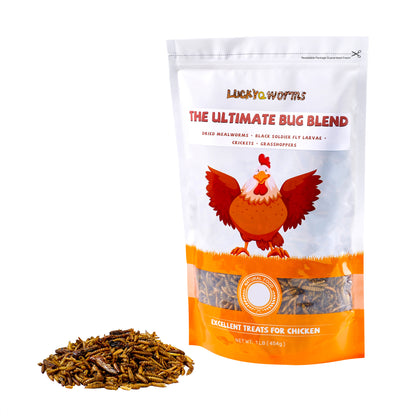 LuckyQworms The Ultimate Bug Blend 1 lb for Chickens, Wild Birds, Hedgehogs, Reptiles, Lizards, Bearded Dragons, Fish, Turtles High Protein Natural Insect Food Resealable Bag