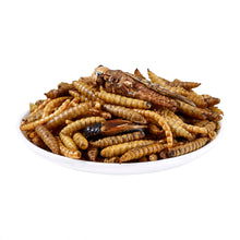 Load image into Gallery viewer, LuckyQworms Dried Insect Trail Mix 1 lb for Chickens, Wild Birds, Hedgehogs, Reptiles, Lizards, Bearded Dragons, Fish, Turtles High Protein Natural Insect Food Resealable Bag
