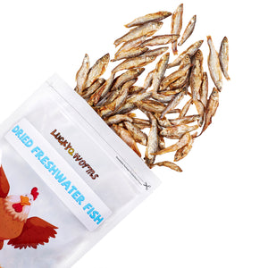 LuckyQworms Dried Freshwater Fish 1 lb for Cats, Chickens, Wild Birds, Hedgehogs, Reptiles, Lizards, Bearded Dragons, Fish, Turtles High Protein Natural Insect Food Resealable Bag