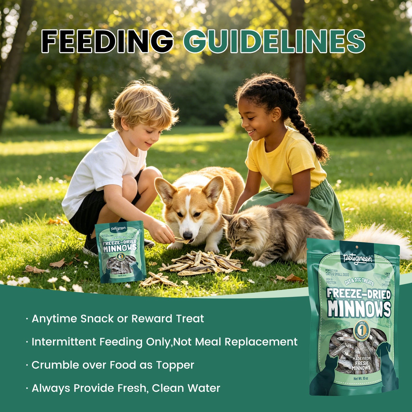 Freeze‑Dried Minnows for Cats & Small Dogs