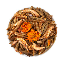 Load image into Gallery viewer, Close-up bowl of mixed chicken treats including dried mealworms, black soldier fly larvae, shrimp pieces, and marigold petals
