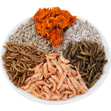 Load image into Gallery viewer, 6-in-1 high-protein chicken treat mix with mealworms, BSFL, shrimp and grains
