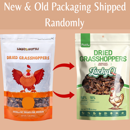new and old packing shipped randomly
