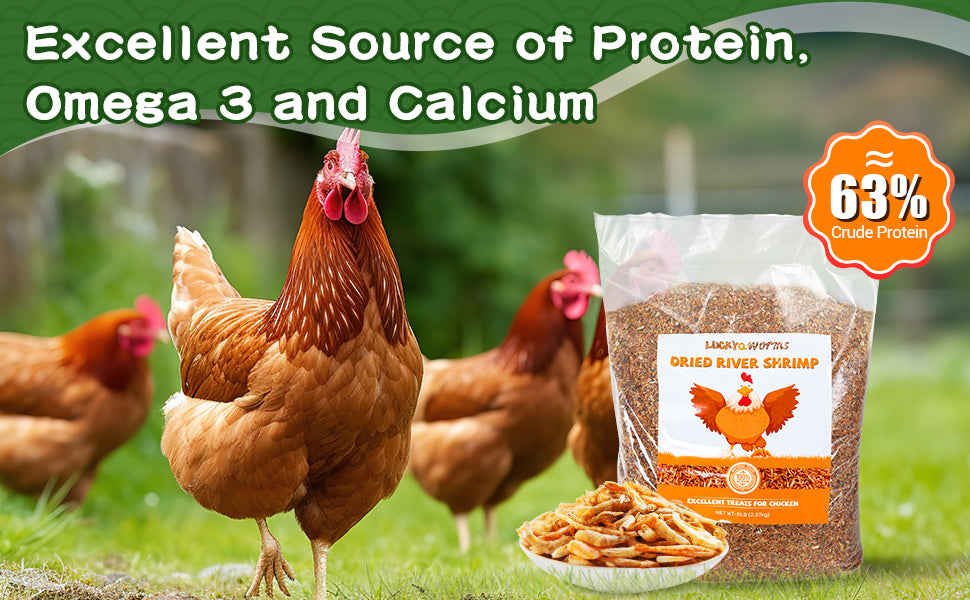 LuckyQworms 5lbs River Shrimp High-Protein Freeze Dried River Shrimp for Chickens Hens Ducks Wild Birds Turtles