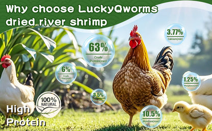 LuckyQworms 5lbs River Shrimp High-Protein Freeze Dried River Shrimp for Chickens Hens Ducks Wild Birds Turtles