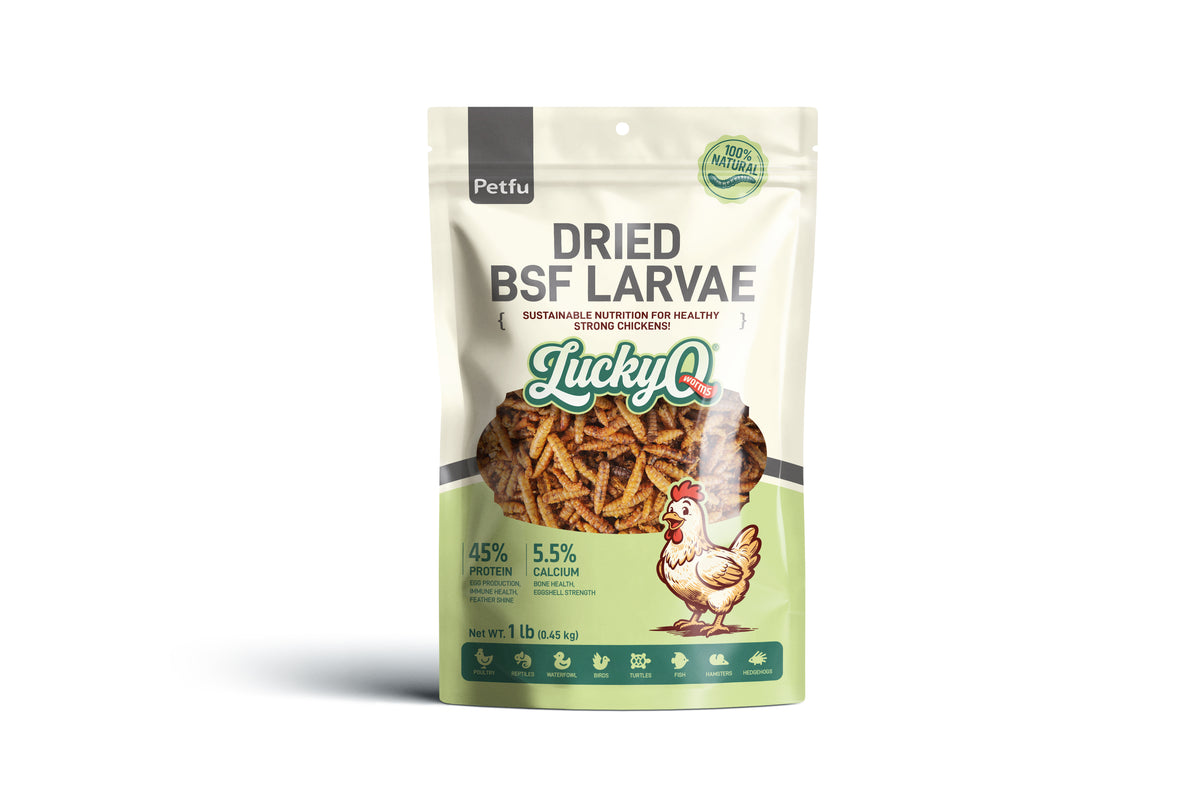 Dried Black Soldier Fly Larvae High-Protein Poultry Treats