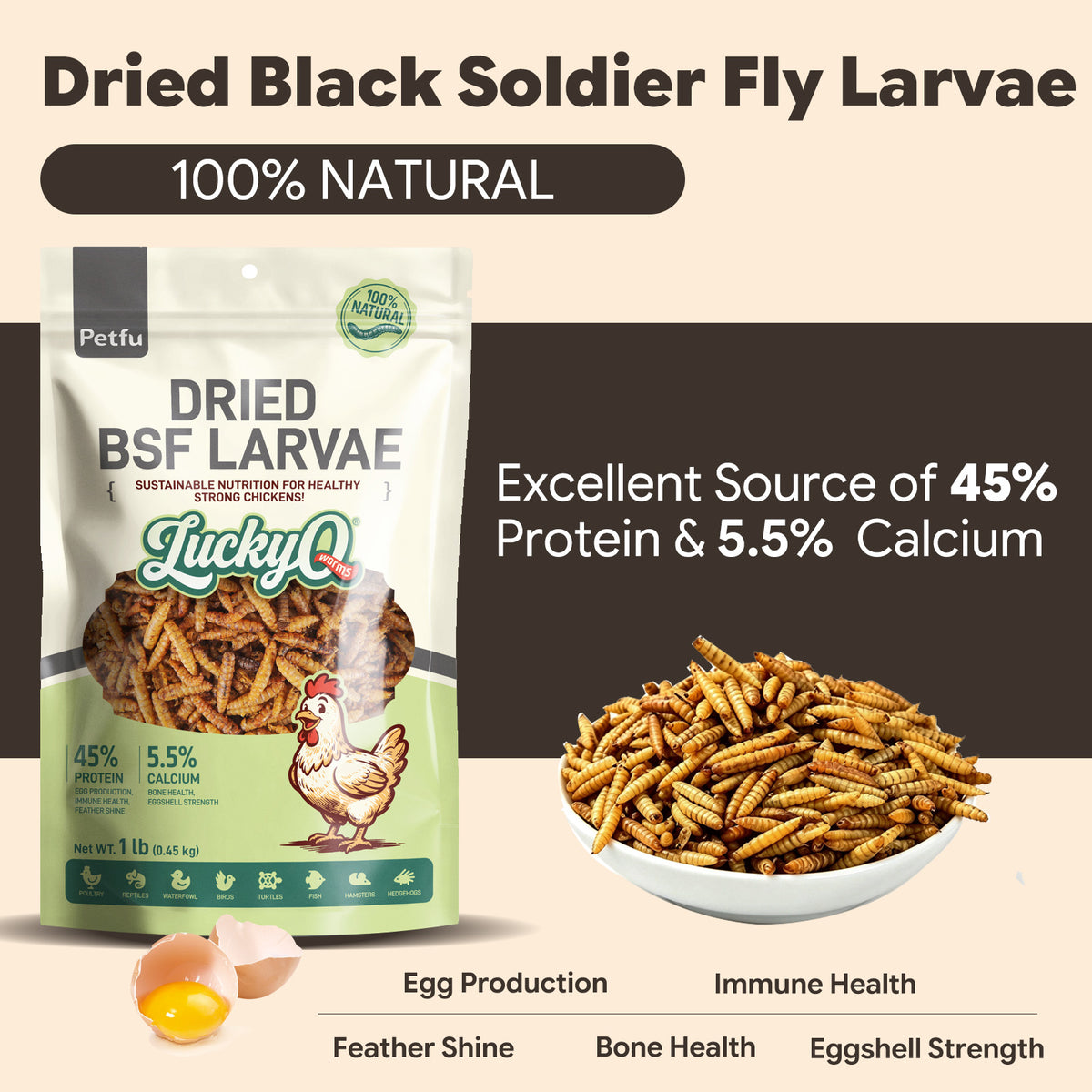 Black Soldier Fly Larvae Guaranteed Analysis and Protein Content