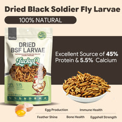 Black Soldier Fly Larvae Guaranteed Analysis and Protein Content