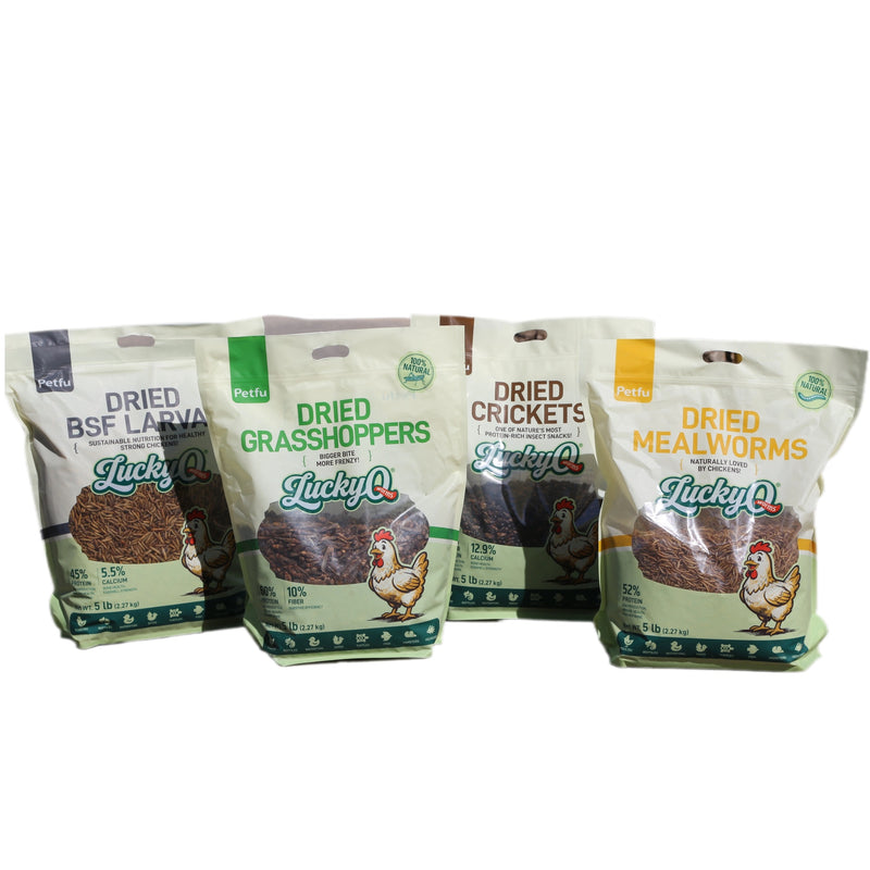 Chicken Favorite Insect Treat Variety Pack &5lb