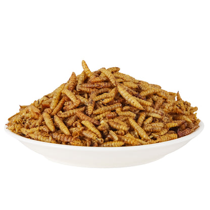 LuckyQworms Dried Black Soldier Fly Larvae 22LBS, High-Protein BSF Larvae Chicken Treats Non-GMO BSFL for Chickens, Hens, Ducks, Wild Birds