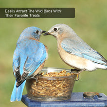 Load image into Gallery viewer, LuckyQworms 40lbs Mealworms, Freeze Dried Mealworms for Birds Chickens Fish
