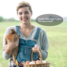 Load image into Gallery viewer, LuckyQworms 11lbs Mealworms, Freeze Dried Mealworms for Chickens Birds Fish
