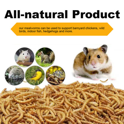 LuckyQworms 44lbs Mealworms, Freeze Dried Mealworms for Birds Chickens Fish