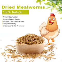 LuckyQworms 40lbs Mealworms, Freeze Dried Mealworms for Birds Chickens Fish