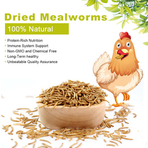 LuckyQworms 40lbs Mealworms, Freeze Dried Mealworms for Birds Chickens Fish